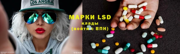 ГАЛЛЮЦИНОГЕННЫЕ ГРИБЫ Ладушкин