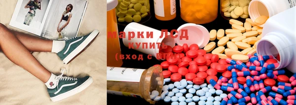 ГАЛЛЮЦИНОГЕННЫЕ ГРИБЫ Ладушкин