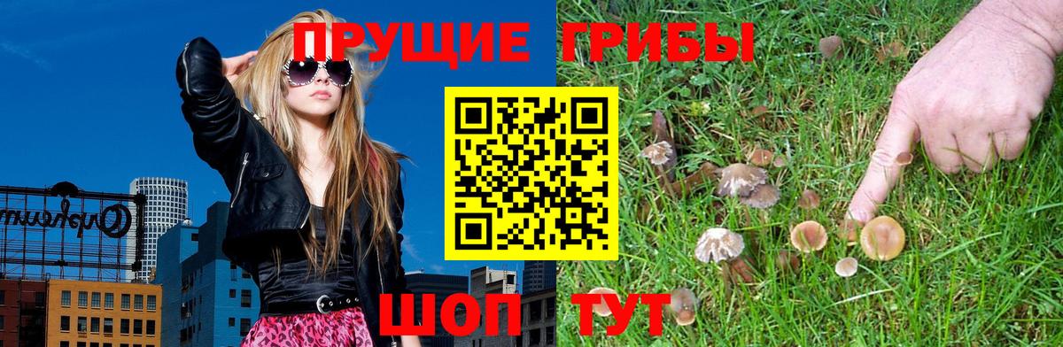 Псилоцибиновые грибы Magic Shrooms Братск