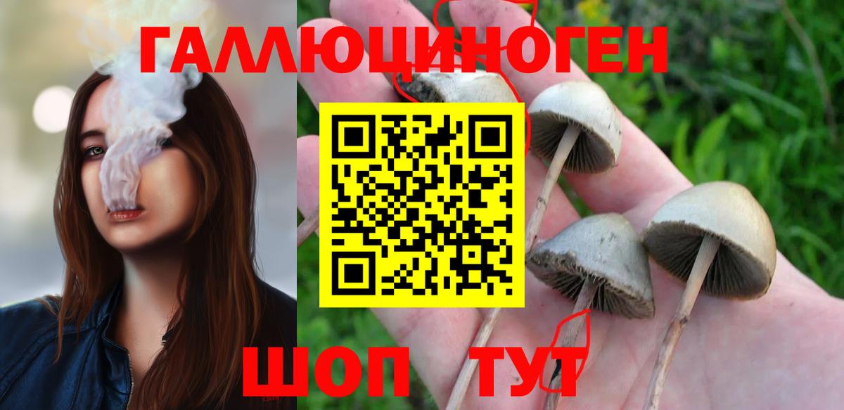 Псилоцибиновые грибы прущие грибы  Братск  Псилоцибиновые грибы прущие грибы 